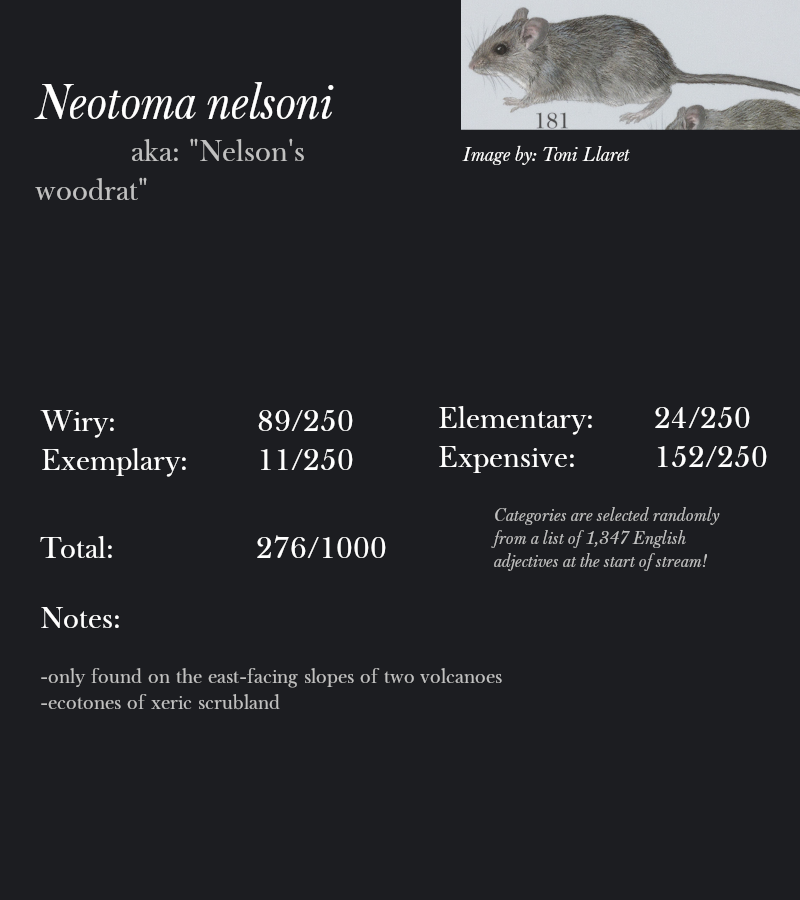 Neotoma nelsoni